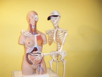 /album/fotogalerij/skeletten-jpg/